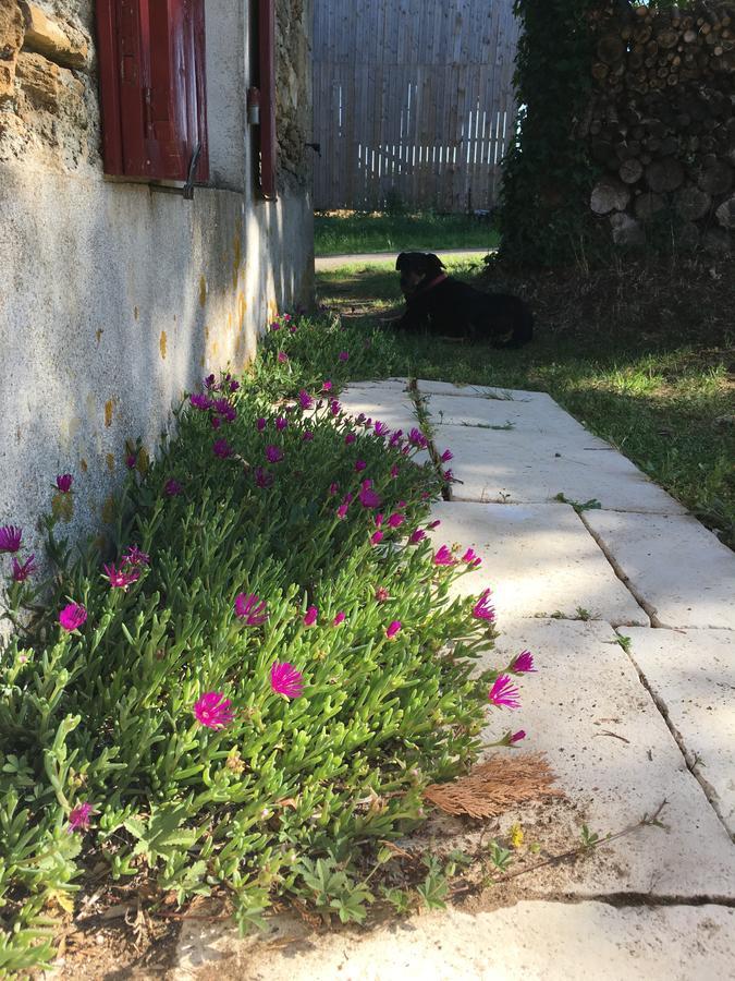 Gite Le Puy Rabasteau Chantonnay Kültér fotó